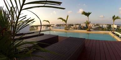 Areca