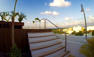 Areca