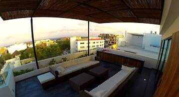 Areca