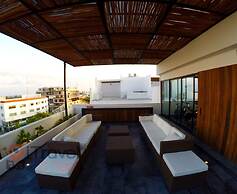 Areca
