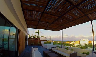 Areca