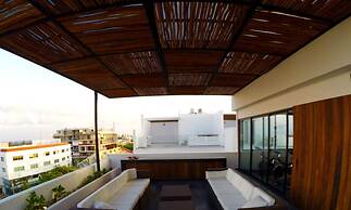 Areca