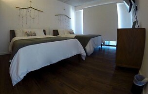 Areca