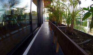 Areca
