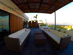 Areca