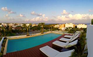 Areca
