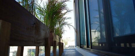 Areca