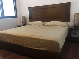 Areca