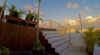 Areca