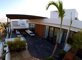 Areca