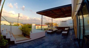 Areca