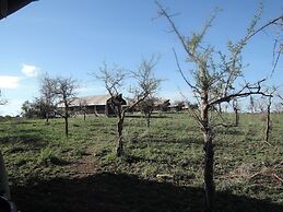 Serengeti Wildebeest Camp
