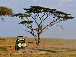 Serengeti Wildebeest Camp