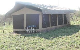 Serengeti Wildebeest Camp