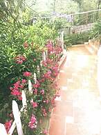 Sapa Garden Resort