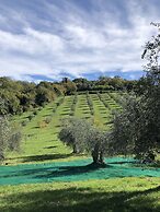 Agriturismo Poggio del Drago