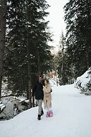 Liondes Chalets