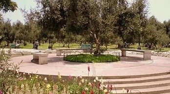 B&B El Olivar