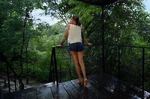 The Backwaters