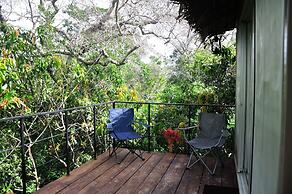 The Backwaters