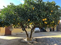 Templi e Arte