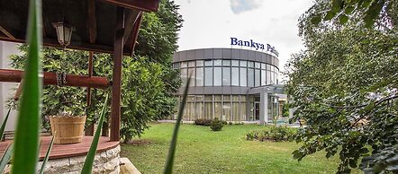 Bankya Palace