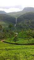 Adams Peak Inn