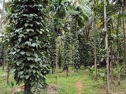 Dudhsagar Plantation