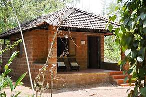 Dudhsagar Plantation