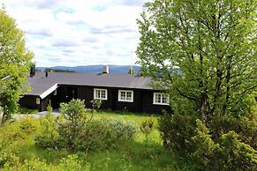 Lilleset Cabin - Gol