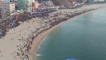 Brown-Dot Songdo