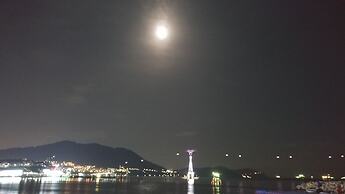 Brown-Dot Songdo