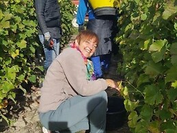 Le Moulin de Bacchus