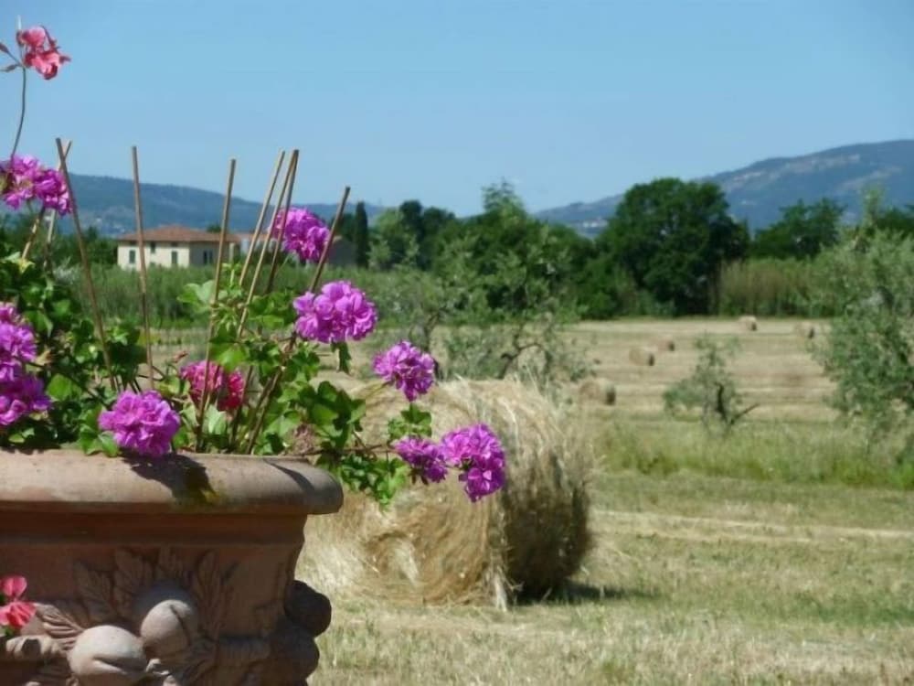 Agriturismo la Torricella