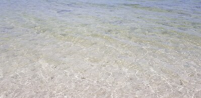 Casa de los peces