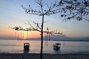 The Rabbit Tree - Hostel