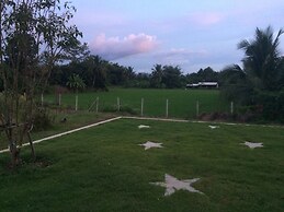 Golden Palm Resort