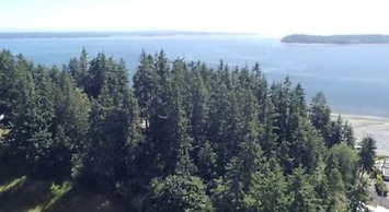 Comforts of Whidbey