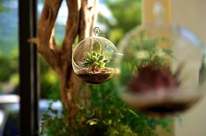 Simple Life B&B