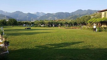 Olimagio