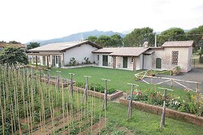Olimagio