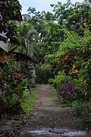 Tapir Lodge