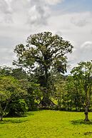 Tapir Lodge