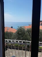 Apartments Andjus