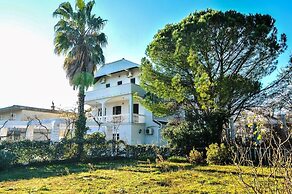 Apartments Stankovic