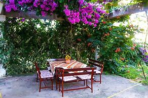Apartments Stankovic