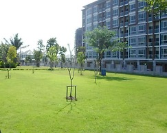 NN House