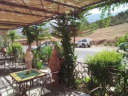 Mohatirste