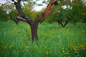 Masseria Ciavea