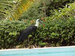 Eco Villas Watamu
